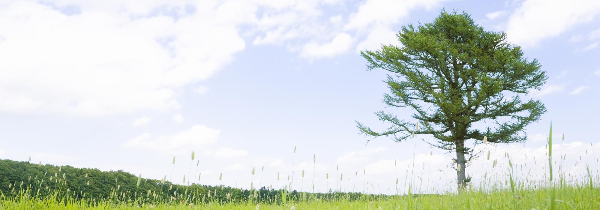 キービジュアルイメージ