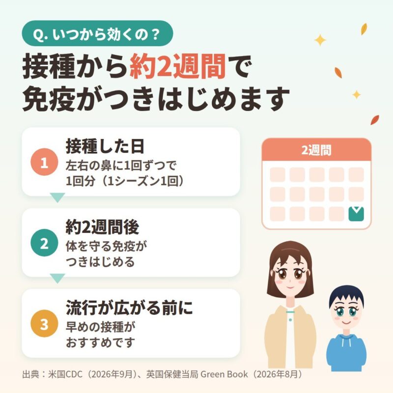 「接種から約2週間で免疫がつきはじめます」の説明イラスト。1 接種した日、2 約2週間後に免疫がつきはじめる、3 流行が広がる前に早めの接種がおすすめ。お母さんと男の子のオリジナルイラスト