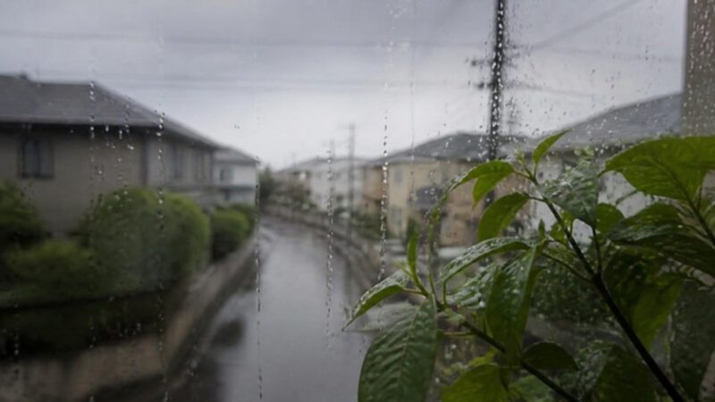 雨の日の穏やかな住宅街の風景。窓ガラスの雨粒と緑の葉